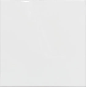 20X20-BLANCO-BRILLO